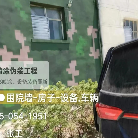 黔东南数码迷彩漆施工